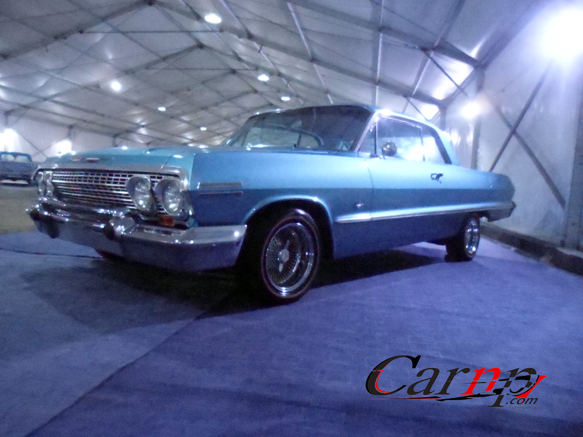 نمایشگاه پارک ارم  9