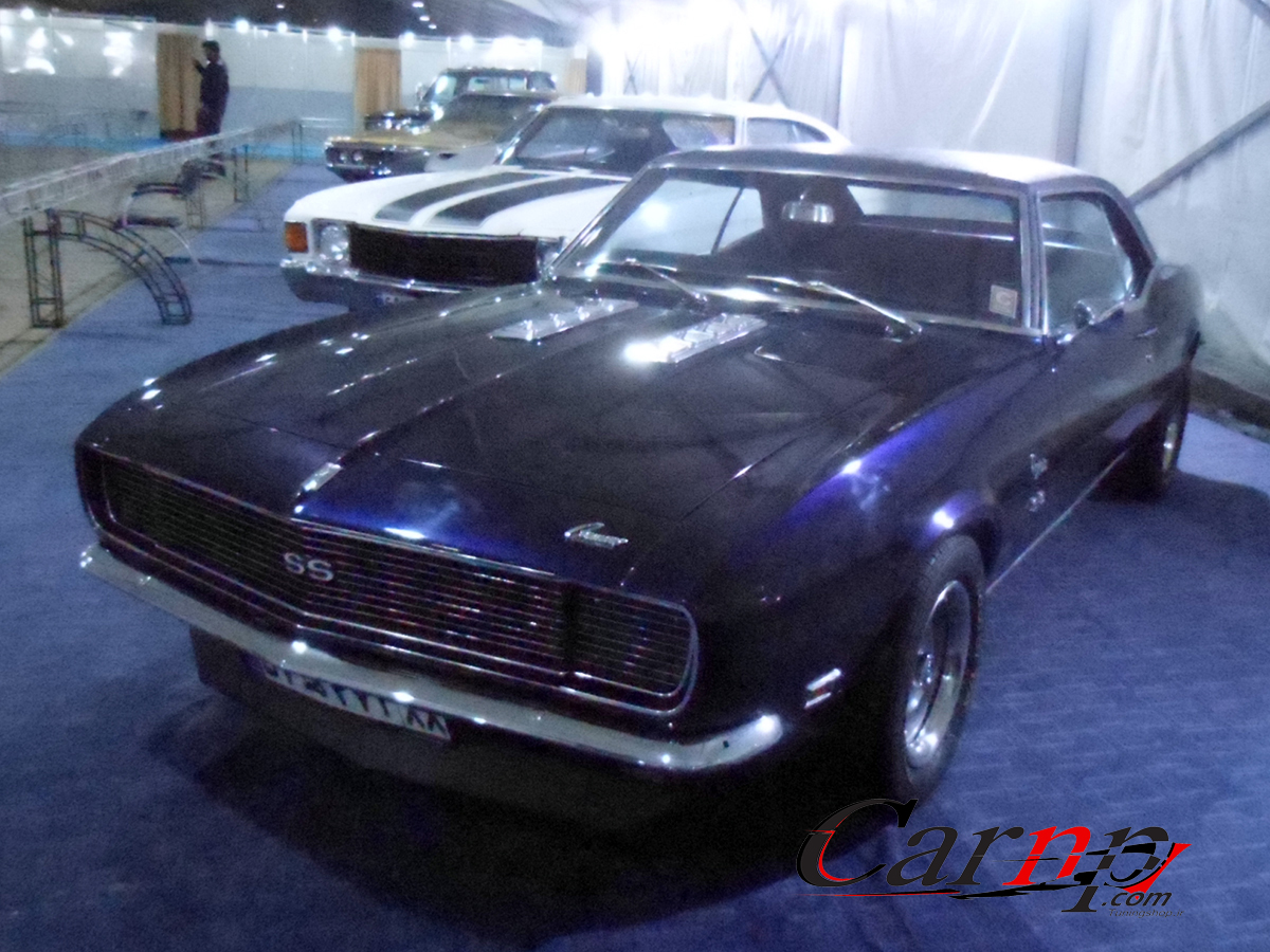 نمایشگاه پارک ارم  12