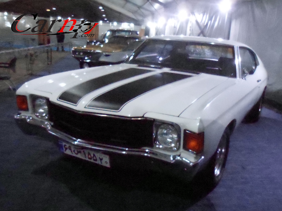 نمایشگاه پارک ارم  13