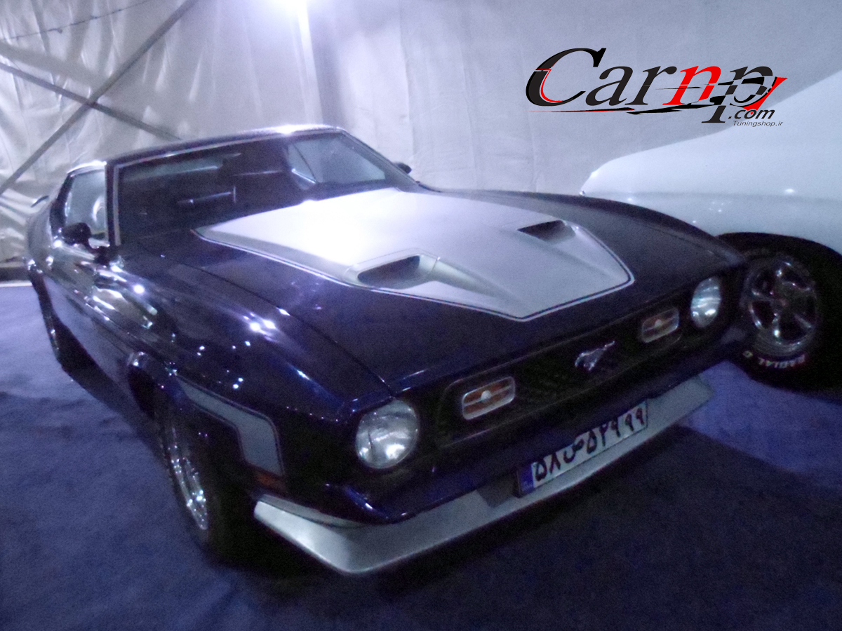 نمایشگاه پارک ارم  14