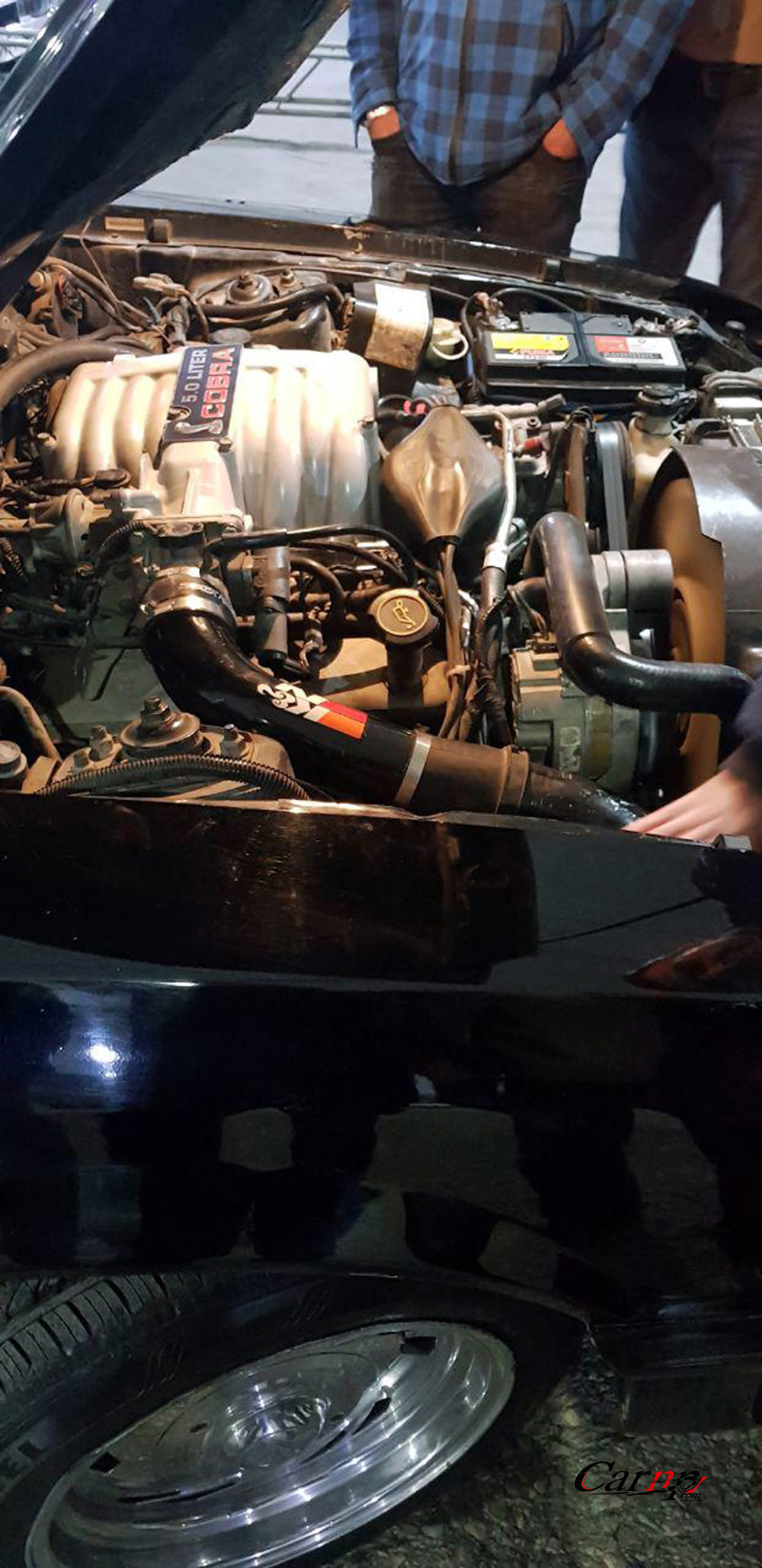 نمایشگاه  پارک ارم فروردین 98 28