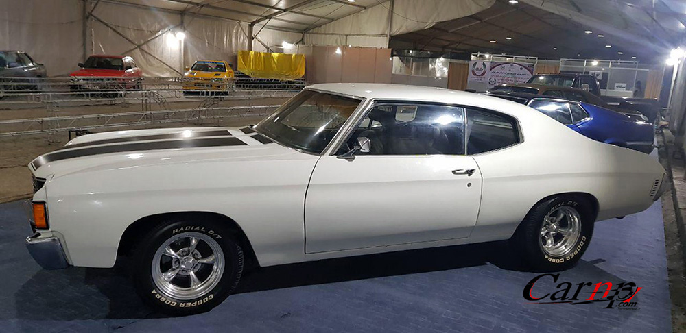 نمایشگاه  پارک ارم فروردین 98 32