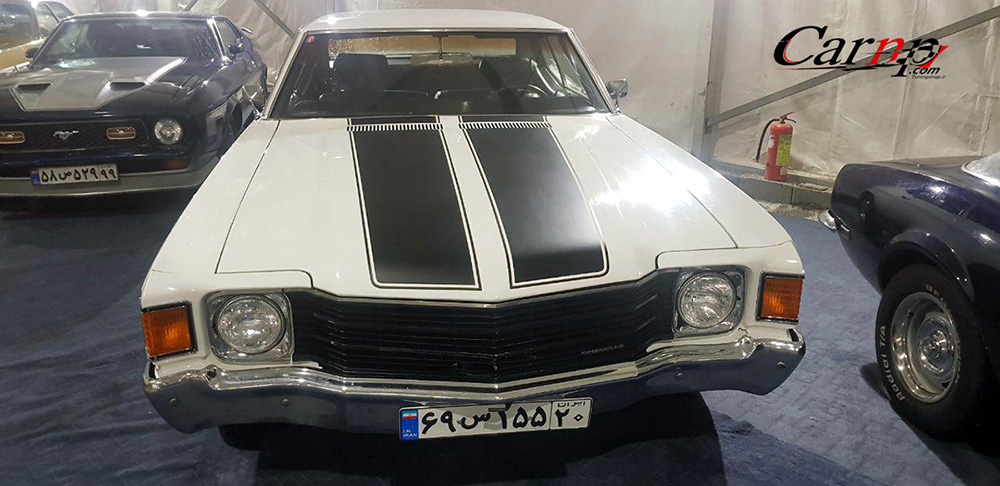 نمایشگاه  پارک ارم فروردین 98 53