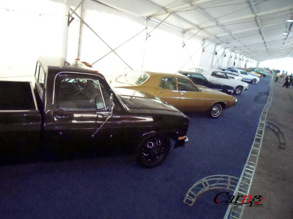 نمایشگاه  پارک ارم فروردین 98 102