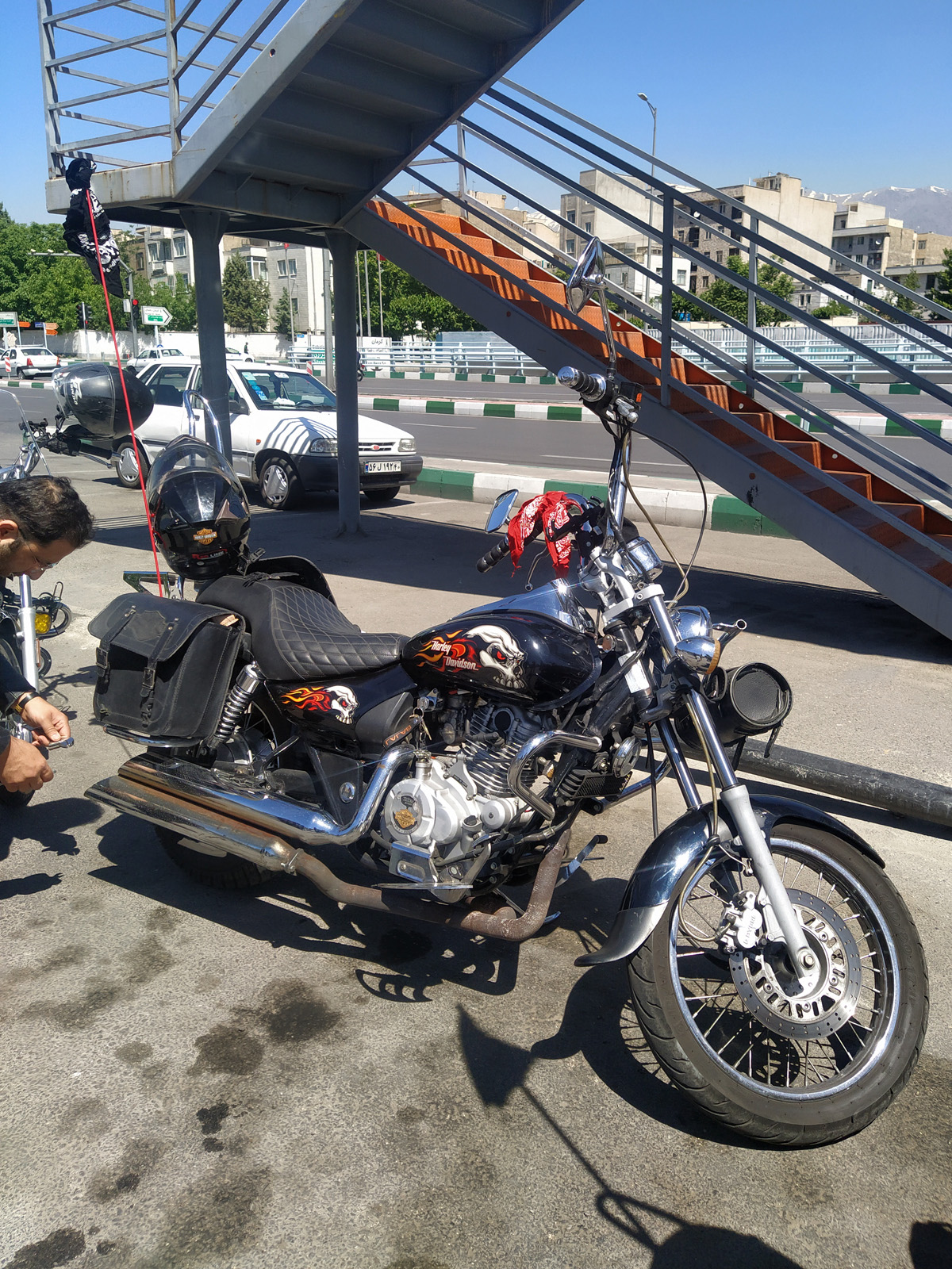 گروه کروز سواران  8