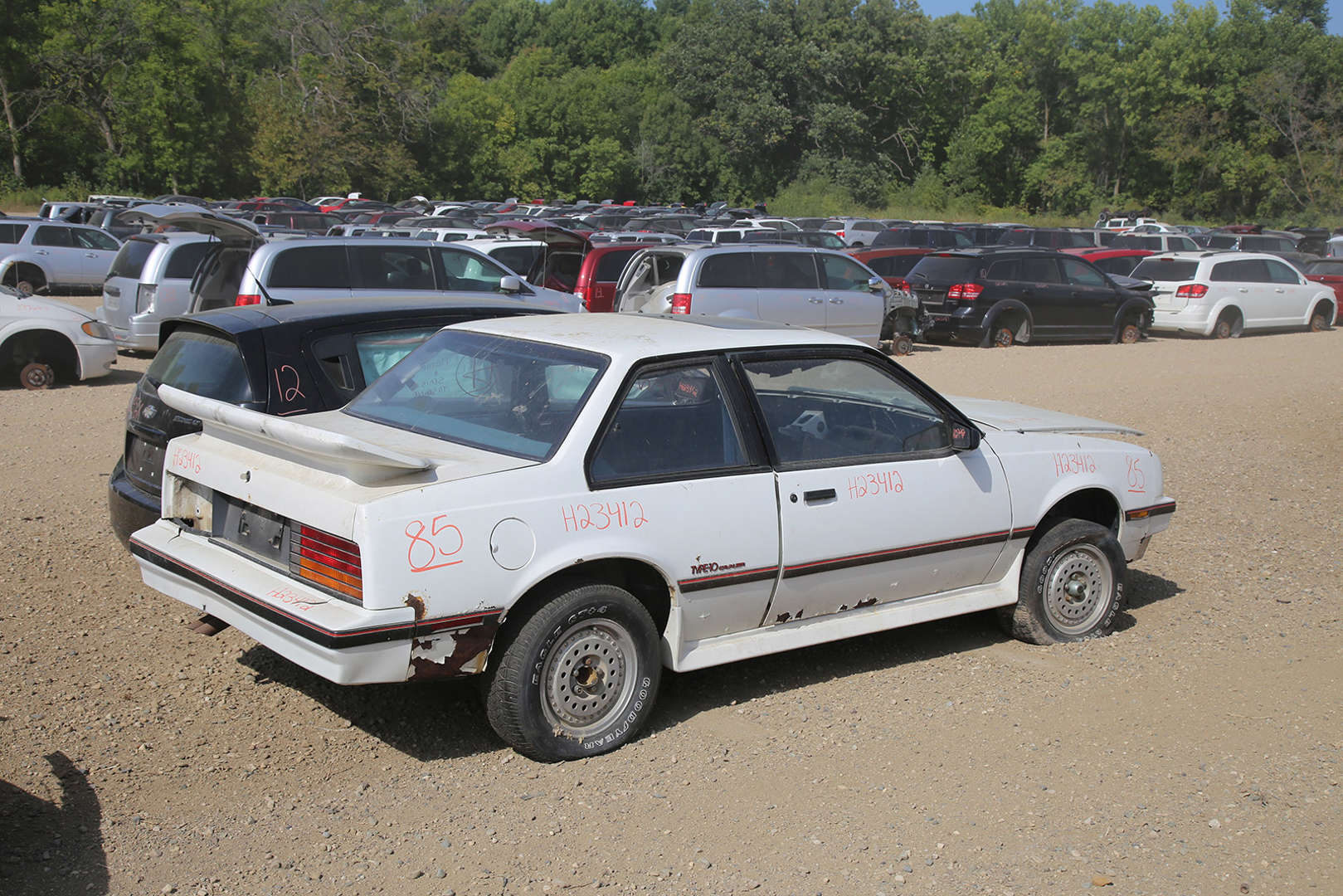 قبرستان ماشین آمریکایی  16